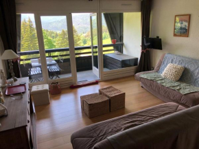 Studio cabine 35m2 à Villard-de-Lans, balcon sud, 4-5 pers, parking, navette gratuite. - FR-1-515-185